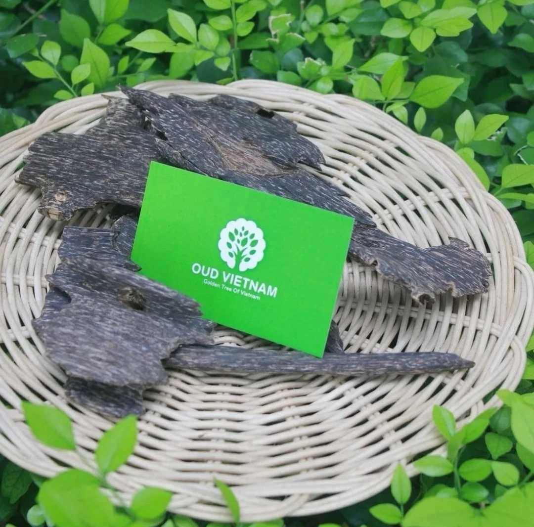 Natural Vietnamese Oud AOW2, second grade, from Vietnamese forest trees