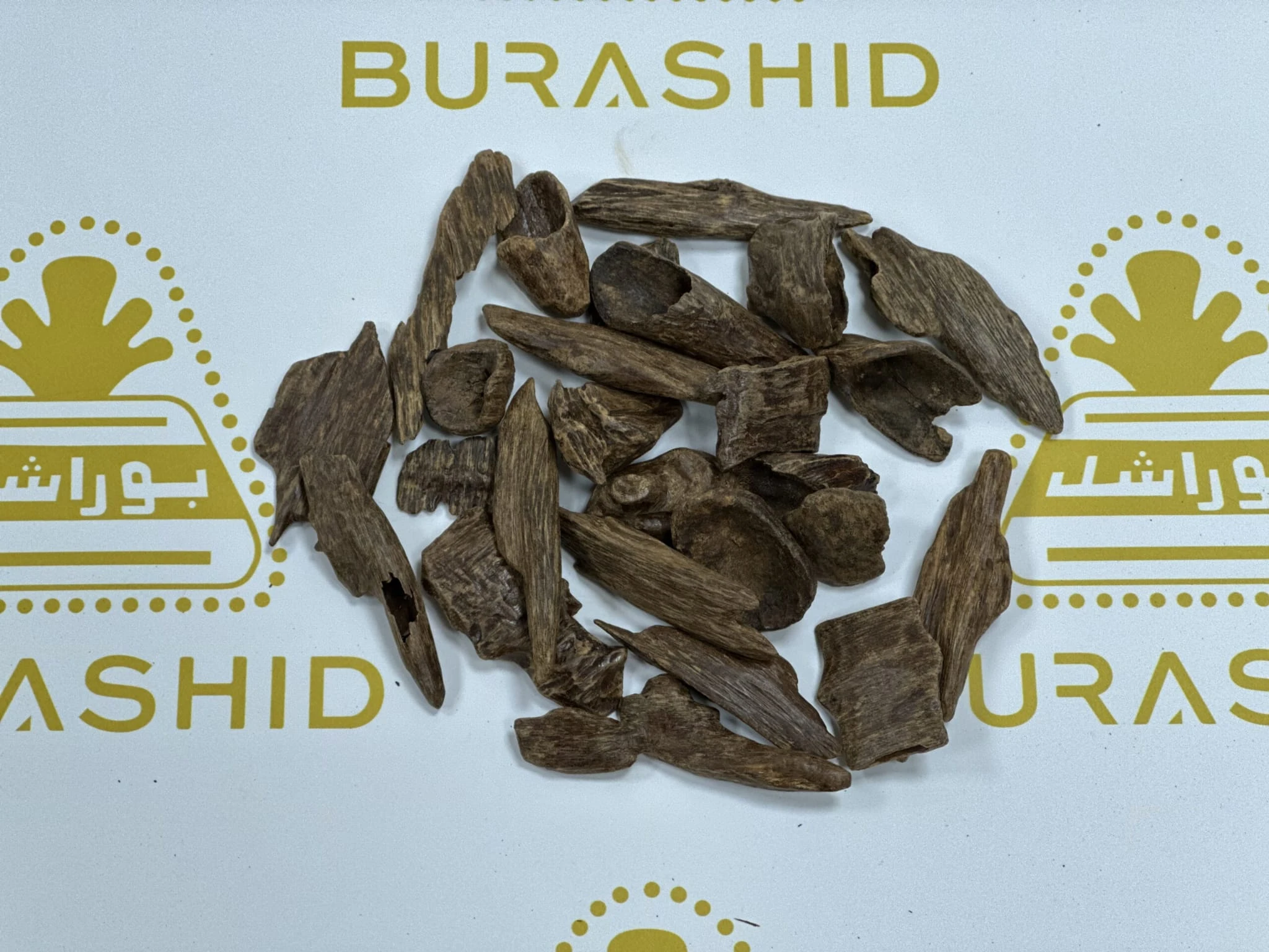 Indonesian Oud (Burashid A)